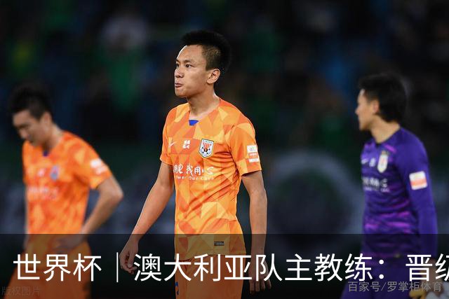 世界杯｜澳大利亚队主教练：晋级淘汰赛是我们应得的
